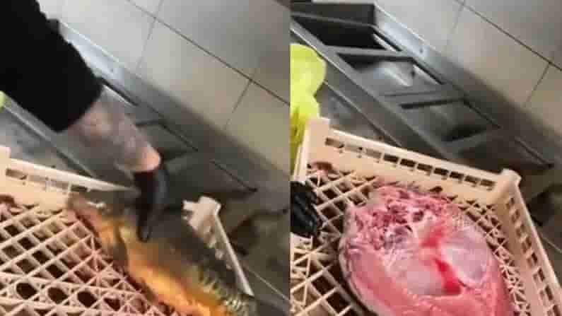 Dead Fish Alive: నిలువునా కోసేసినా మళ్లీ అతుక్కుంటూ .. బతికేస్తోన్న చేప.. వైరల్ అవుతోన్న వీడియో