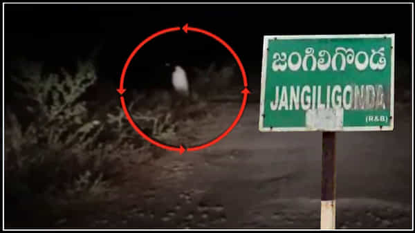 జంగిలిగొండ గుట్టల్లో వింత ఆకారం.. ఊరిని వణికిస్తున్న దెయ్యం భయం.. వైరల్గా మారిన వీడియో..!