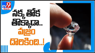 ప్రధాని మోదీ రాకకు తమిళనాడు సకల ఏర్పాట్లు.. పలు అభివృద్ధి పనులకు శ్రీకారం.. ప్రత్యేక కమెండోలతో భద్రత కట్టుదిట్టం..!