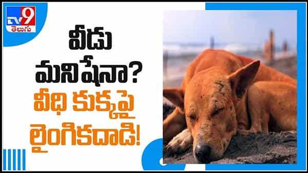 Man rapes dog in Mysuru act caught on camera Video: వీడు మనిషేనా ? వీధి కుక్కపై లైంగిక దాడి.