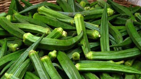 Health Benefits: డైటింగ్ చేసేవారు బెండకాయను తినోచ్చా ? దీనివల్ల కలిగే ప్రయోజనాలెంటో తెలుసా..