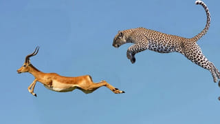 Sneak Peek Video :RRRలో సీతారామరాజు యుద్ధానికి సిద్ధం