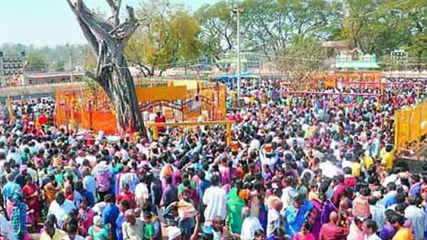 Mini Medaram Jatara: ఈరోజు నుంచి 4 రోజుల పాటు మినీ మేడారం జాతర.. కోవిడ్ నిబంధనలను పాటిస్తూ ఏర్పాట్లు చేసిన ప్రభుత్వం