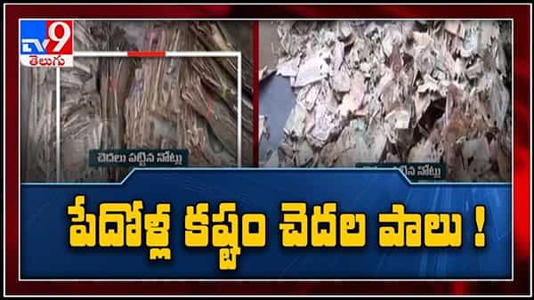 Termites Consumed Man Savings Video: కష్టపడి దాచుకున్న సొమ్ము పురుగులపాలు
