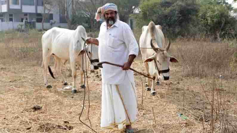 కార్పొరేట్ శక్తులు పంచభూతాలను కూడా అమ్ముకుంటాయి.. కేంద్ర బడ్జెట్ పై ఆందోళన వ్యక్తం చేసిన నారాయణ మూర్తి..