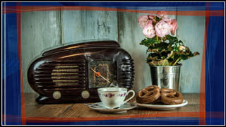 సెనేట్ లో ట్రంప్ అభిశంసనపై విచారణ, డెమొక్రాట్లు వాడిన పదంపై రభస, లాయర్ల వీడియో ప్రదర్శన