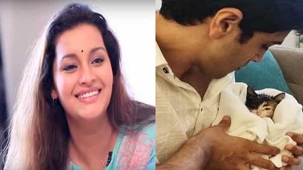 Adivi Sesh Rescues Kitten: అనాథపిల్లి పిల్లను ఇంటికి తీసుకెళ్లిన అడవి శేషు.. దానిని దత్తత తీసుకుంటానన్న రేణు దేశాయ్