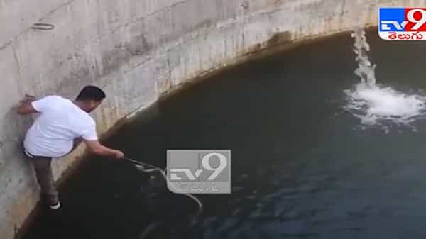 Viral video : నీటి బావిలో పడిన నాగుపాము... ప్రాణాలకు తెగించి కాపాడిన యువకులు.. వీడియో వైరల్