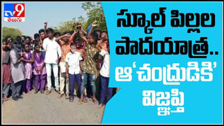 Viral Video: 70 అడుగుల ఎత్తు హైవే పై నుంచి కిందపడిన ట్రక్..ప్రాణాలతో బయట పడిన డ్రైవర్..