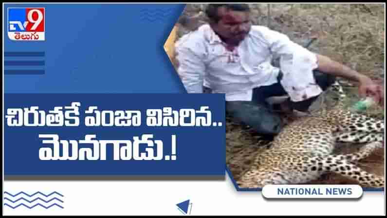 Fight With Cheetah video :కుటుంబం కోసం చిరుతతో ఫైట్‌ చేసిన రియల్‌ హీరో.. వైరల్ అవుతున్న వీడియో