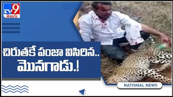 Fight With Cheetah video :కుటుంబం కోసం చిరుతతో ఫైట్ చేసిన రియల్ హీరో.. వైరల్ అవుతున్న వీడియో