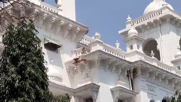 పెచ్చులూడిన తెలంగాణ అసెంబ్లీ ఎలివేషన్.. భవనం పటిష్టంగానే ఉందన్న కార్యదర్శి నర్సింహాచార్యులు