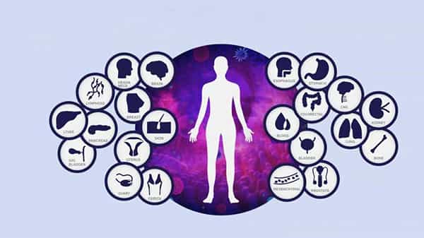 Different Types of Cancers:శరీరంలోని దాదాపు అన్ని అవయవాలకు క్యాన్సర్ వచ్చే అవకాశం.. క్యాన్సర్ లోని ప్రధాన రకాలు ఎన్నో తెలుసా!