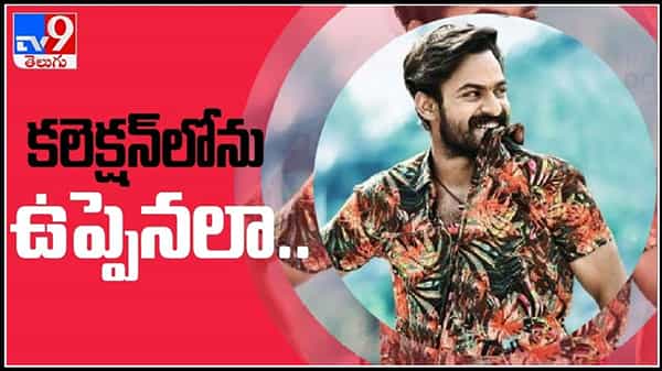 ఫుల్ కలెక్షన్ తో దూసుకుపోతున్న ఉప్పెన..ప్రపంచవ్యాప్తంగా రికార్డు స్థాయిలో కాసుల వర్షం:Uppena collections Video