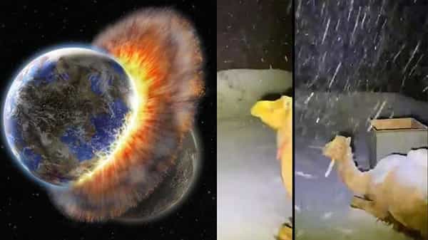 Snowfall in Deserts : ప్రపంచం త్వరలో అంతంకాబోతుంది.. సాక్ష్యం ఇదిగో అంటున్న కొంతమంది.. శాస్త్రజ్ఞుల వాదన ఏమిటంటే..!