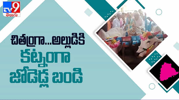 komaram bheem: చిత్రంగా అల్లుడికి ఇచ్చిన వింత కట్నం వైరల్గా మారిన వీడియో...!!