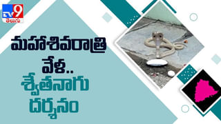 Gold Coins: మహారాష్ట్రలో రూ.1.3 కోట్ల విలువైన పురాతన బంగారు నాణేలు లభ్యం..