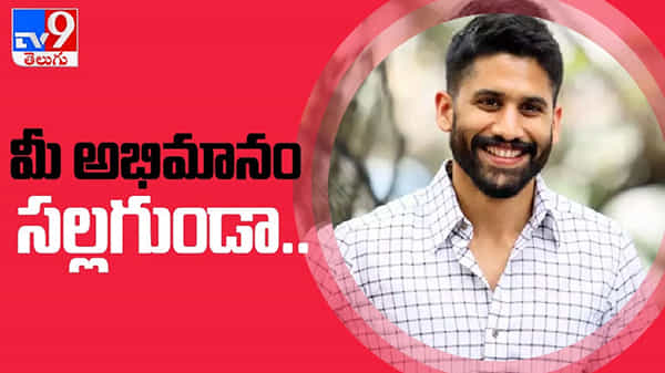 Naga Chaitanya: ఫ్యాన్ చేసిన పనికి ఎమోషనల్ అయినా అక్కినేని యంగ్ హీరో