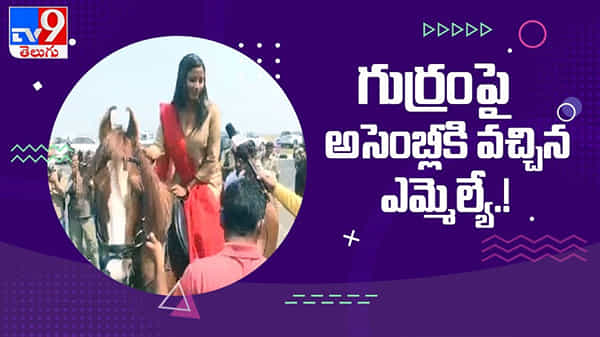 Jharkhand: అసెంబ్లీకి గుర్రంపై వచ్చిన కాంగ్రెస్ ఎమ్మెల్యే.. నెట్టింట్లో వైరల్ అవుతున్న వీడియో..!