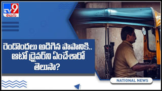 సింహాల పక్కన కూర్చొని.. గిటార్ వాయిస్తే.. ఆ కిక్కే వేరబ్బా..వైరల్ గా మారిన వీడియో :Viral Video