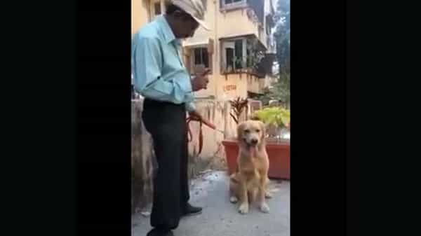Brilliant Dog: లెక్కల్లో దిట్ట ఈ కుక్క.. ప్రశంసిస్తున్న నెటిజన్లు.. చూస్తే మీరే షాకవుతారు.. వీడియో