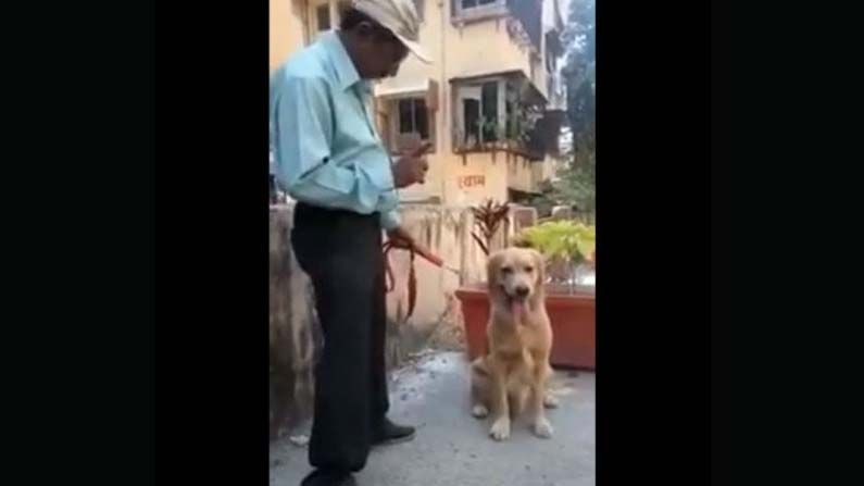 Brilliant Dog: లెక్కల్లో దిట్ట ఈ కుక్క.. ప్రశంసిస్తున్న నెటిజన్లు.. చూస్తే మీరే షాకవుతారు.. వీడియో