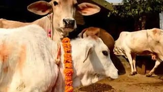 High Temperature In Telangana: తెలంగాణలో భానుడి భగభగలు.. ఏకంగా 43 డిగ్రీలకు.. మార్చిలోనే ఇలా ఉంటే మే నాటికి..