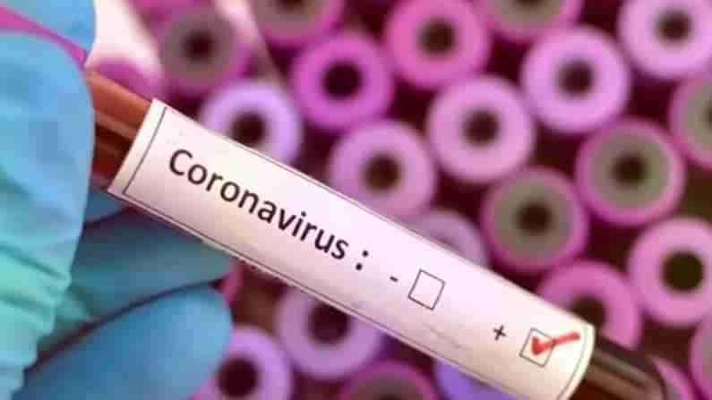 Corona Virus: ఇండియాలో కరోనాను కట్టడి చేయాలంటే ఆ నాలుగే మార్గాలు.. ప్రపంచ ఆరోగ్య సంస్థ