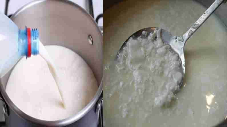 Curdled Milk Dessert : పాలు విరిగిపోయాయని బాధపడుతున్నారా.. అయితే ఈజీ..  టేస్టీ స్వీట్స్ ట్రై చేయండి..