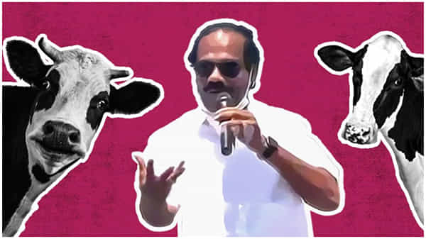 ఈ కాలపు మహిళలు ఎలా ఉన్నారంటే , డీఎంకే అభ్యర్థి తరఫున వివాదాస్పద వ్యాఖ్యలు చేసిన యాంకర్