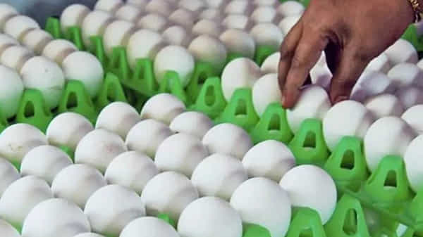 1000 రూపాయలకు అల్లం, 30 రూపాయలకు గుడ్డు, పాకిస్తాన్ వంటగదిలో రేట్ల మంట..