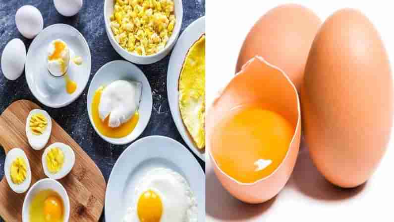 Eggs and Cholesterol: గుడ్డులోని తెల్ల సొన తిని.. పచ్చసొన పడేస్తున్నారా.. ఎన్ని పోషకాలను మిస్ చేసుకున్నారో తెలుసా..!