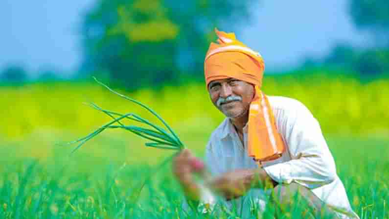 Farmers scheme: రైతుల కోసం మరో పథకం.. రూ. 25 లక్షల వరకు రుణం లభిస్తుంది.. దరఖాస్తు ఎలా చేయాలో తెలుసుకోండి.. ప్రయోజనాలు పొందవచ్చు