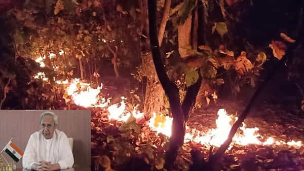 టైగర్ రిజర్వ్ ఫారెస్ట్లో భారీగా ఎగిసిపడ్డ మంటలు.. ఉన్నతస్థాయి సమీక్ష సమావేశం నిర్వహించిన ముఖ్యమంత్రి..