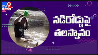 14 అడుగుల పొడవైన కళింగ సర్పం.. మూడు రోజులుగా ఒకే చెట్టుపై …!:14 Feets Snake Video.