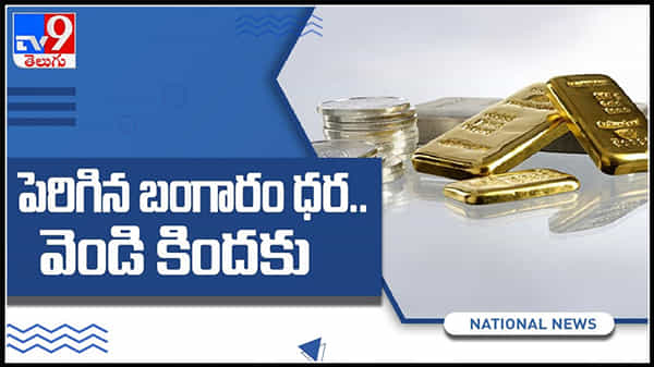 పెరిగిన బంగారం ధర..వెండి కిందకు..( వీడియో ): Gold Silver Price Today Video.
