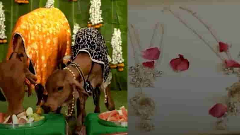 Viral News: వారెవ్వా.... ఆవు, దూడకు నగలు చేయించాడు.. రోల్డ్ గోల్డ్ కాదు.. బంగారం, వెండితో