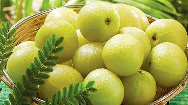 Amla Benefits: ఉసిరి కాయతో చర్మ సమస్యలు తగ్గుతాయా ? ఉసిరితో ఎన్ని రకాలు ప్రయోజనాలున్నాయంటే..