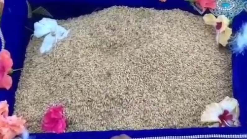 Sita-Rama kalyanam: భద్రాద్రి రాములోరి కల్యాణం కోసం ప్రకాశం జిల్లా నుంచి గోటి తలంబ్రాలు