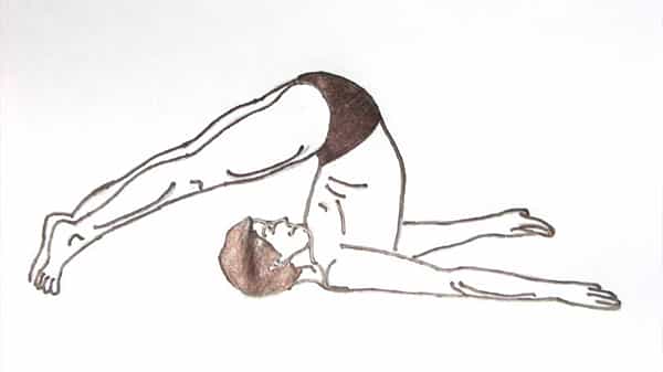 Yoga Pose Halasana : మీ దాంపత్య జీవితం శృంగార భరితం కావాలంటే ఈ ఆసనం వేయండి.. అయితే కండిషన్స్ అప్లై