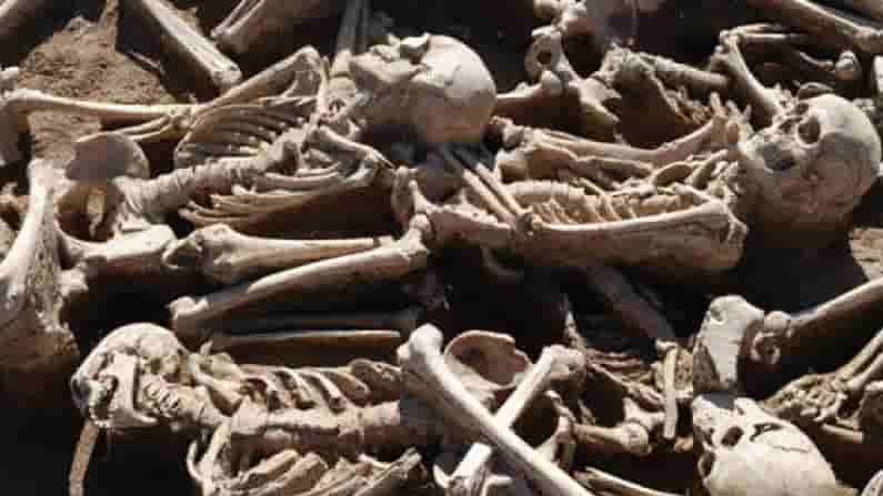 Human Skeletons Found : కుప్పలు తెప్పలుగా కీటకాలు.. ఏంటా అని చూస్తే మూడు అస్తి పంజరాలు.. ఆరాతీస్తే షాకింగ్..