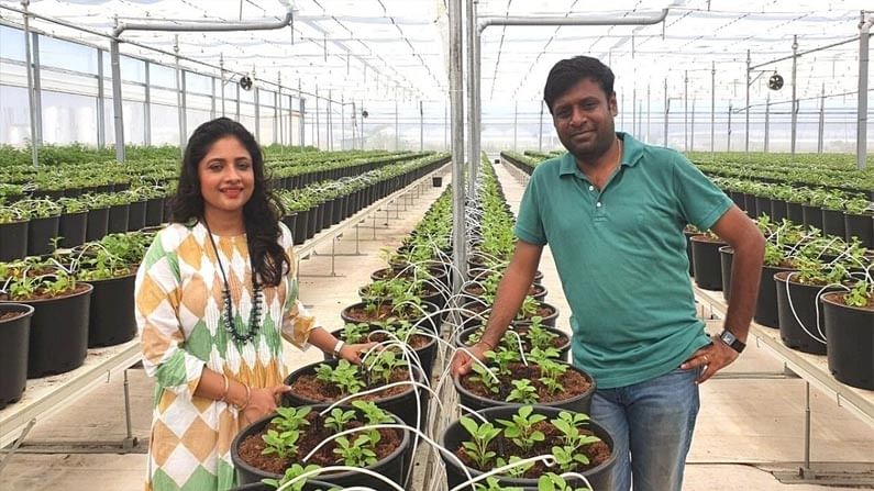 Hyderabad Couple HiTech Farm : ఉన్నత ఉద్యోగాలు వదిలి కూరగాయలు పండిస్తున్న ఓ యువజంట.. కోట్లల్లో సంపాదన