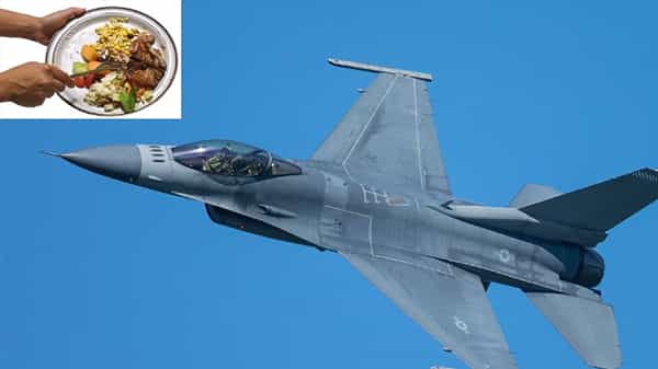 Jet Fuel From Food Waste: మిగిలిపోయిన ఆహారంతో విమాన ఇంధనం.. అద్భుత ఆవిష్కరణలో పరిశోధకులు..