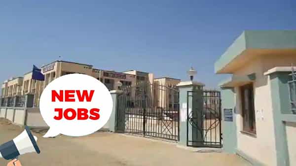 Warangal Kendriya Vidyalaya: నిరుద్యోగులకు శుభవార్త.. వరంగల్ కేంద్రీయ విద్యాలయంలో ఉద్యోగాలు.. పూర్తి వివరాలు