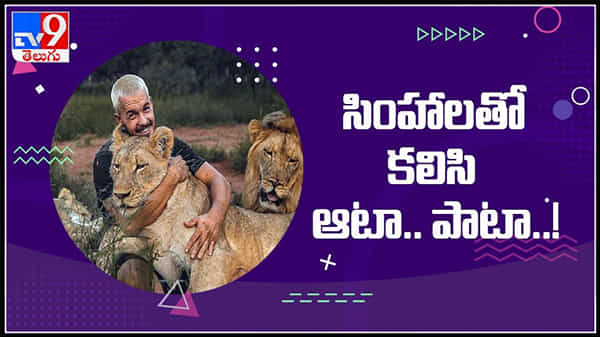 సింహాల పక్కన కూర్చొని.. గిటార్ వాయిస్తే.. ఆ కిక్కే వేరబ్బా..వైరల్ గా మారిన వీడియో :Viral Video