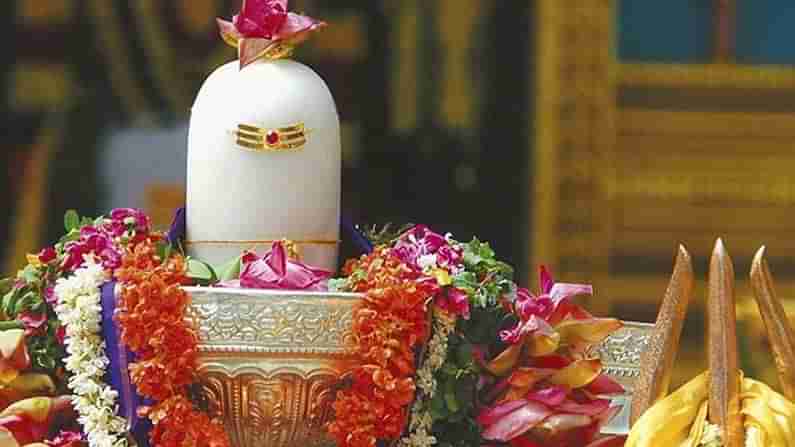 Mahashivratri Special-2021: ఈ పూలతో పూజిస్తే శివుడు పులకించిపోతాడు..  మహాదేవుడికి ఇష్టమైన పుష్పాలు ఏంటో తెలుసా.. ?