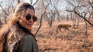 Sreekaram Pre Release Press Meet: వ్యవసాయ నేపథ్యంలో శర్వానంద్ ‘శ్రీకారం’.. ఈ రోజు ప్రీ రిలీజ్ ప్రెస్ మీట్..