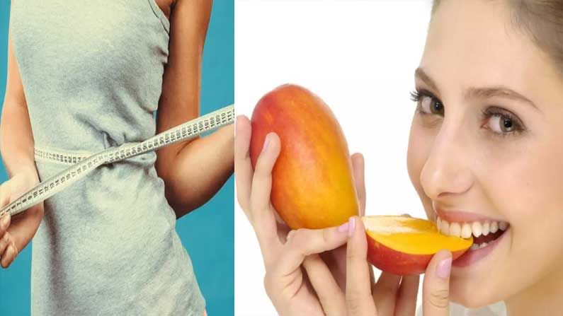 Mango and Weight Gain: పండ్లలో రారాజు.. మామిడి పండు.. దీనిని తింటే బరువు పెరుగుతారా..?