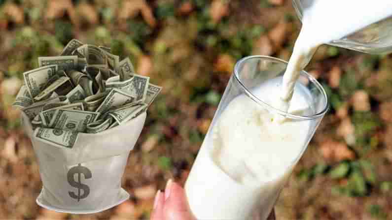 Millionaire by Selling Milk: లీటర్ పాల ధర రూ. 2628.. ఒక్క దెబ్బతో మిలియనీర్ అయిపోయాడు.. ఎక్కడో తెలుసా?