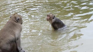 ACB Caught Sarpanch: కాంప్లెక్స్ నిర్మాణాన్ని అడ్డుకున్నాడు.. చివరికి అడ్డంగా బుక్కయ్యాడు.. ఓ సర్పంచ్ కథలు ఇవి..!